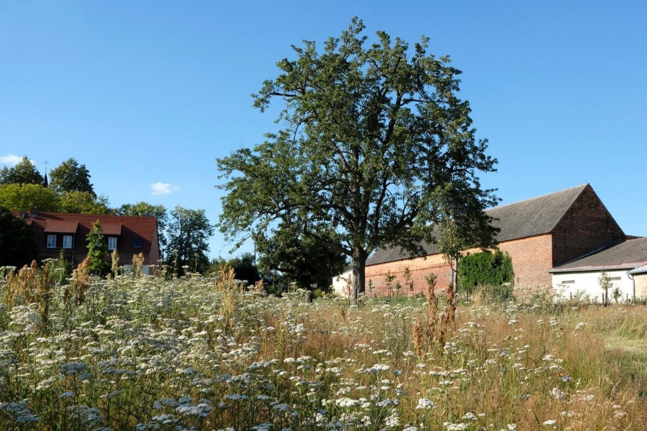 Ferienwohnung Mohnblume Pulzig Buitenkant foto