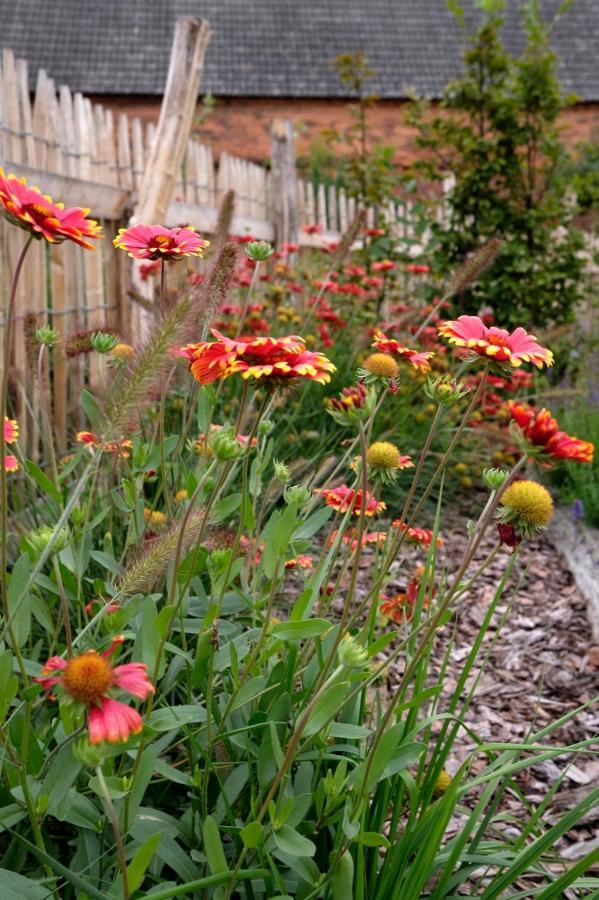 Ferienwohnung Mohnblume Pulzig Buitenkant foto