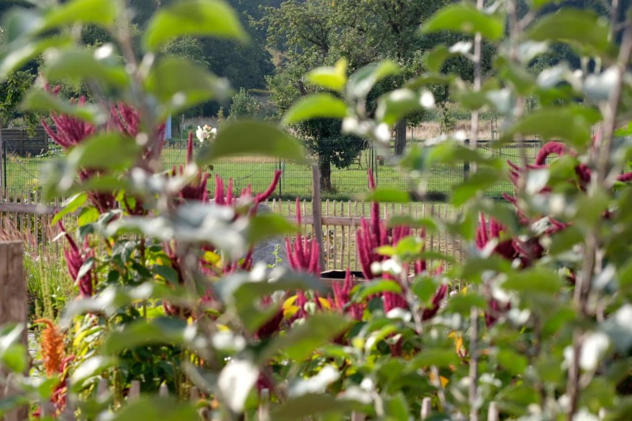 Ferienwohnung Mohnblume Pulzig Buitenkant foto
